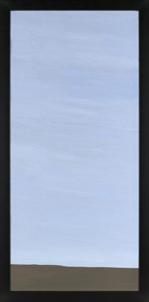 6-31-ESOS-CIELOS-TARDE-EN-CALMA-56.5X26X2cm-marco